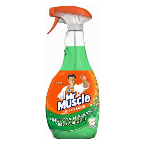 Чистящее средство для стекол Mr.Muscle утренняя роса 500 мл в Фамилия