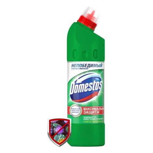 Универсальное чистящее средство Domestos двойная сила хвойная свежесть 500 мл в Фамилия