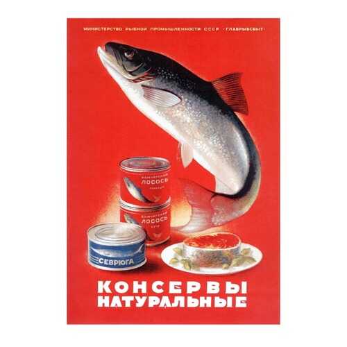 Плакат СТ-Диалог Консервы натуральные, СОВ-535, бумага, 60х90 см в Фамилия