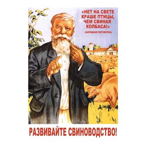 Плакат СТ-Диалог Развивайте свиноводство!, СОВ-011, бумага, 40х60 см в Фамилия
