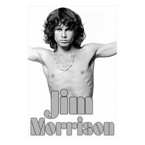 Постер СТ-Диалог Jim Morrison, МУЗ-314, бумага, 60х90 см в Фамилия