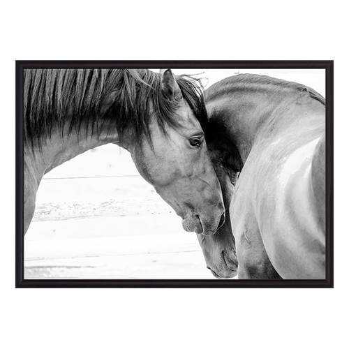 Постер в рамке Две лошади 40х60 см в Фамилия