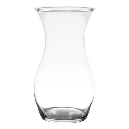 Ваза Hakbijl Glass 19271h 25 см в Фамилия