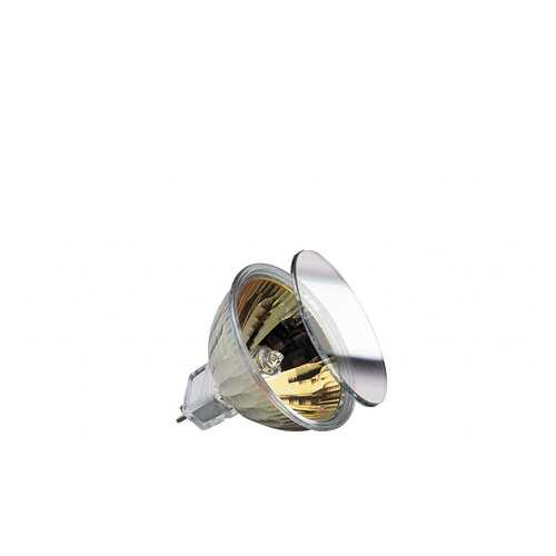 Лампа Halogen KLS 35W GU5,3 12V 51mm Gold 83353 в Фамилия