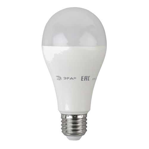 Лампа светодиодная 18W ЭРА ECO LED smd A65 в Фамилия
