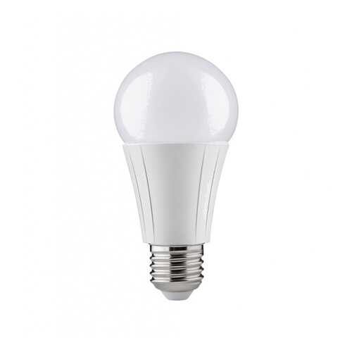 Лампа светодиодная ZB Primo LED AGL 8,5W E27 Opal 2700К-6500К 50053 в Фамилия