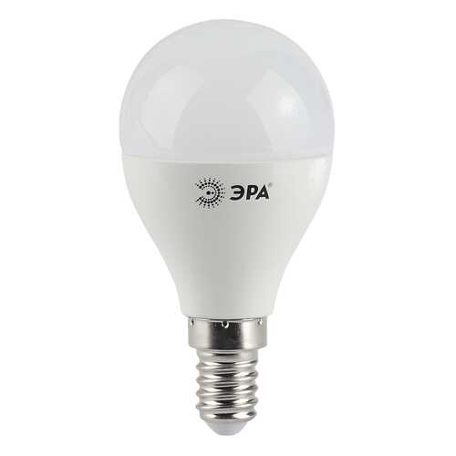 Лампочка Эра G45 E14 9W 720Lm 2700K матовый шар в Фамилия