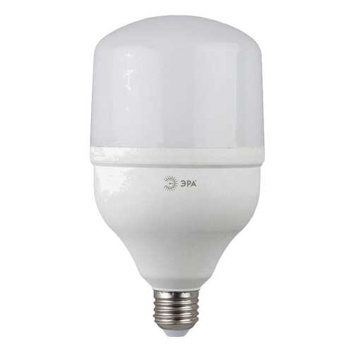 Лампочка Эра Power E27 20W 1600Lm 6500K матовая цилиндр в Фамилия