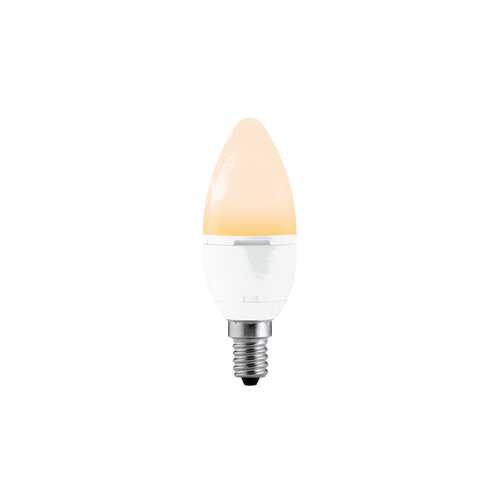 LED Quality Kerze 6W E14 Goldlicht 28182 в Фамилия