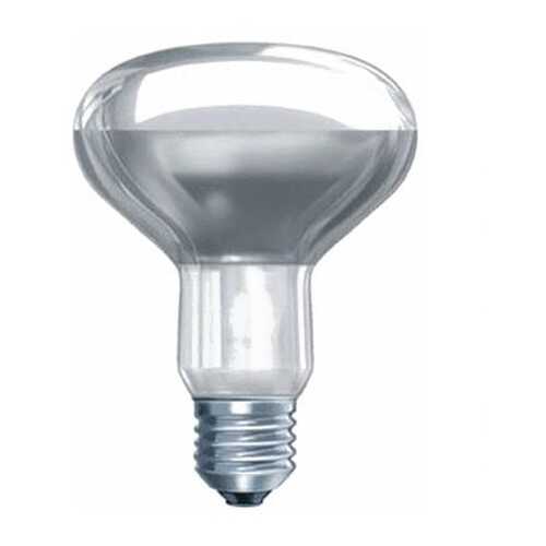 Накаливания Лампочка Philips 8711500064011 в Фамилия