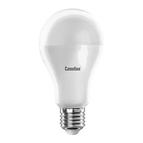 Светодиодная лампа Camelion BasicPower LED17-A65/845/E27 12309 Белый в Фамилия