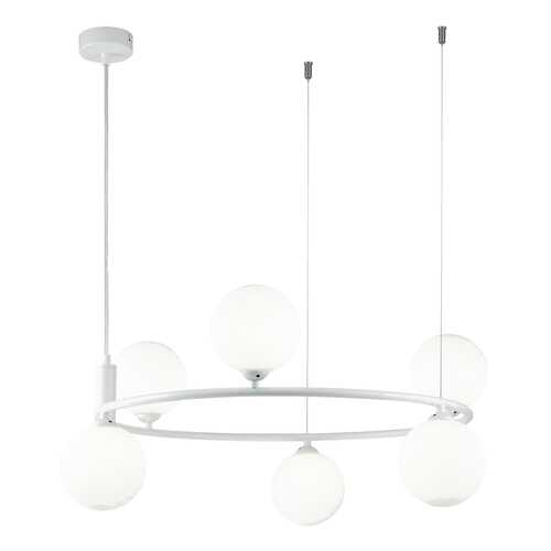 Люстра подвесная Maytoni MOD013PL-06W в Фамилия