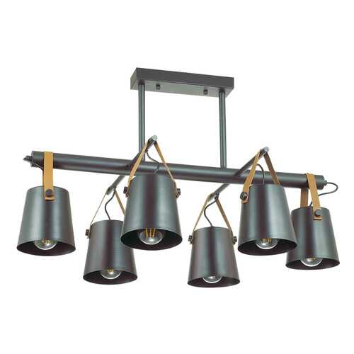 Люстра потолочная Lumion 3641/6C в Фамилия