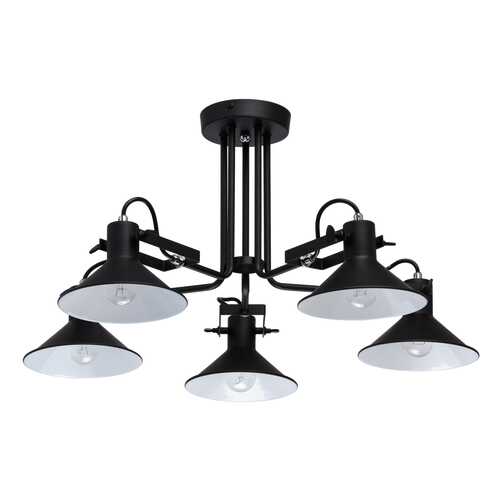 Люстра потолочная MW-LIGHT 691010805 в Фамилия