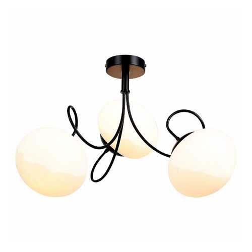 Люстра потолочная ST Luce SL717.402.03 в Фамилия
