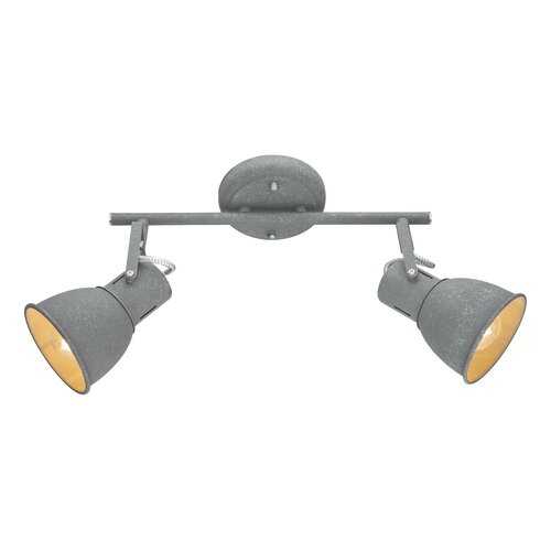 Спот Arte Lamp A1677PL-2GY e14 в Фамилия