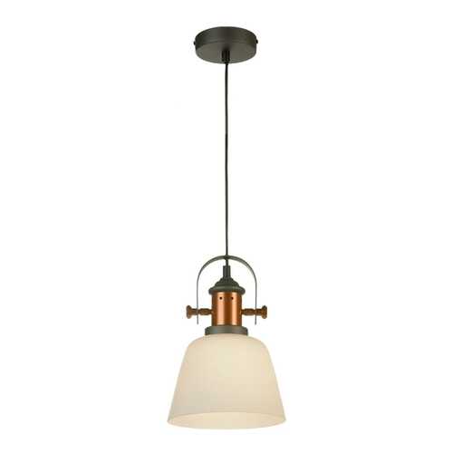 Подвесной светильник Loft Binghamton GRLSP-9846 в Фамилия