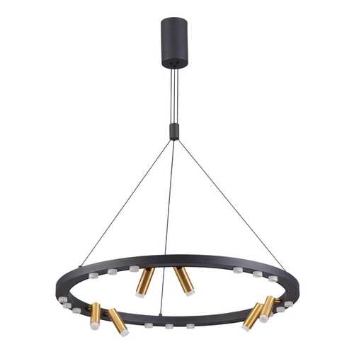 Подвесной светильник Odeon Light 3918/63L в Фамилия
