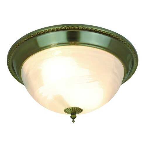 Потолочный светильник Arte Lamp 16 A1305PL-2AB в Фамилия