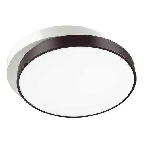 Потолочный светодиодный светильник Lumion Agatha 4509/72CL в Фамилия