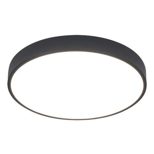 Светильник Arte Lamp ARENA A2661PL-1BK в Фамилия