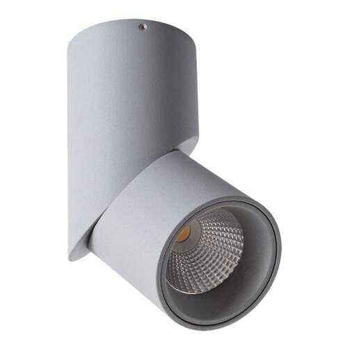 Светильник Arte Lamp ORIONE A7717PL-1GY в Фамилия
