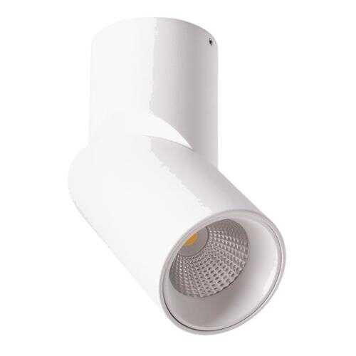 Светильник Arte Lamp ORIONE A7717PL-1WH в Фамилия