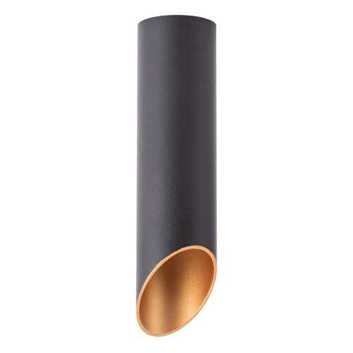 Светильник Arte Lamp PILON-GOLD A1535PL-1BK в Фамилия