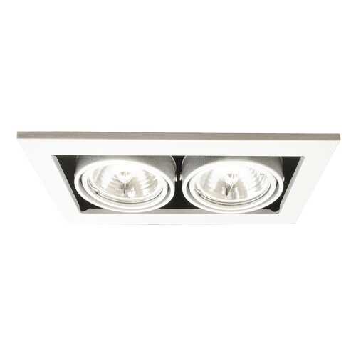 Встраиваемый светильник Arte Lamp A5930PL-2WH Серый в Фамилия