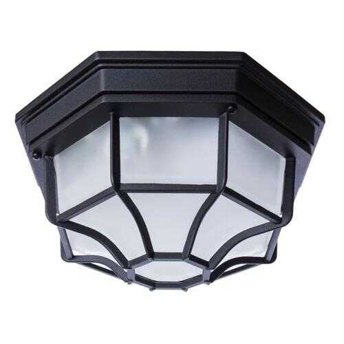 Потолочный Arte Lamp A3100PL-1BK в Фамилия